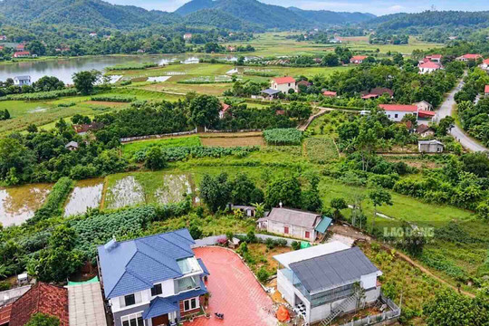Cần xác định rõ tiêu chí đất bỏ hoang