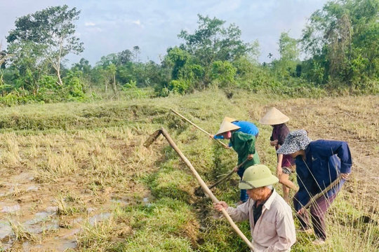 Nghệ An: Đặt mục tiêu huy động hơn 537.000 ngày công làm thủy lợi, giao thông