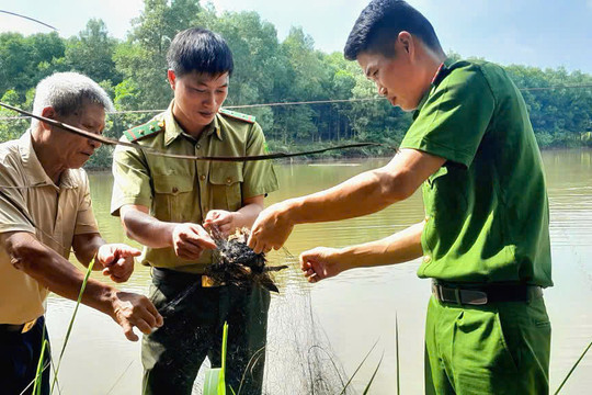 Công an tỉnh Tuyên Quang chung tay bảo vệ chim hoang dã trong mùa di cư