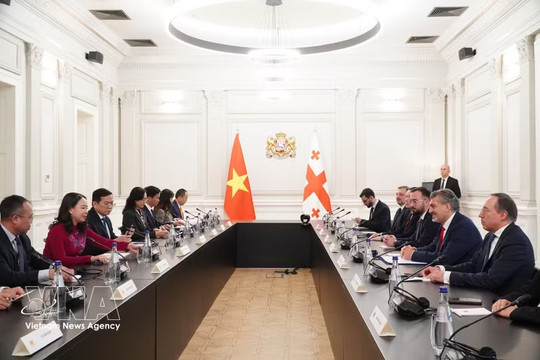 Vietnamese Vice President meets with Georgian leaders