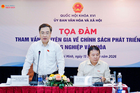 Tham vấn chuyên gia về chính sách phát triển công nghiệp văn hóa