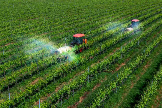 Nâng cao hiệu quả quản lý, cải thiện chất lượng phục vụ trong lĩnh vực nông nghiệp và môi trường