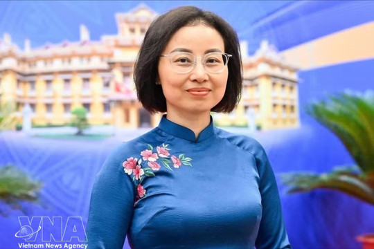 Top leader's visit to make Vietnam-Denmark ties more substantive, effective