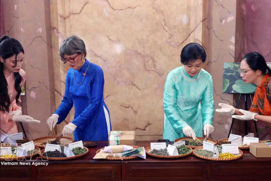 Spouses of Vietnamese, Swiss leaders visit Hanoi University of Pharmacy