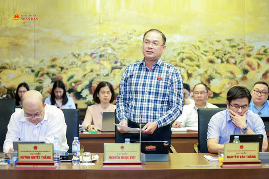 Ngăn thông đồng, dìm giá, bảo đảm cạnh tranh thực chất trong đấu giá tài sản