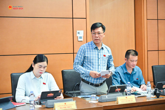 Nên giao Chính phủ quy định chi tiết tiêu chuẩn luật sư