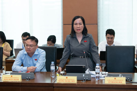 Cân nhắc mức đặt trước đấu giá đất, làm rõ chi phí luật sư