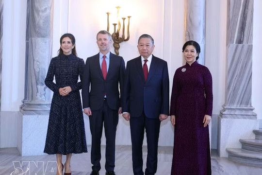 Vietnam treasures time-tested friendship, multifaceted cooperation with Denmark: Top leader