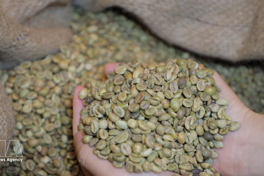 Vietnam seeks greater control over global agricultural value chains