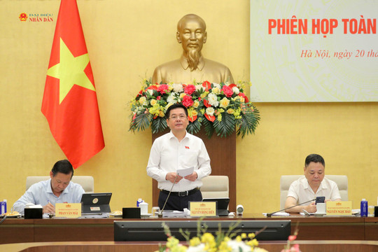 Phó Chủ tịch Quốc hội Nguyễn Hồng Diên dự họp thẩm tra 2 dự án Luật