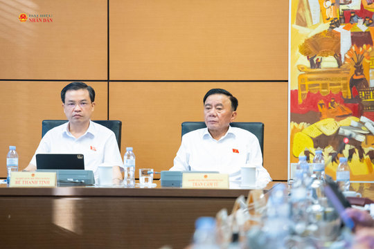 Chiều 20/10/2026, Thảo luận Tổ 5 (TP. Đà Nẵng, TP. Quảng Ninh và Cao Bằng)