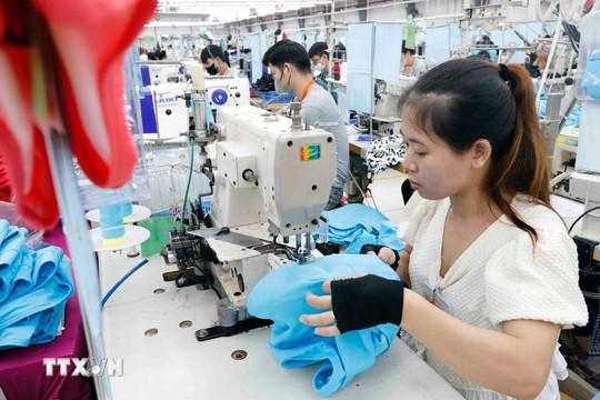 Stronger farmer-business links key to boosting Vietnam’s export value