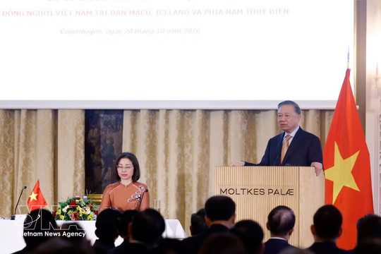 Top leader meets embassy staff, Vietnamese communities in Denmark, Iceland, southern Sweden