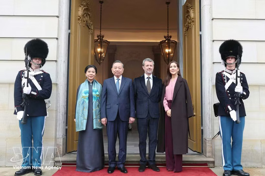 Top Vietnamese leader concludes state visit to Denmark