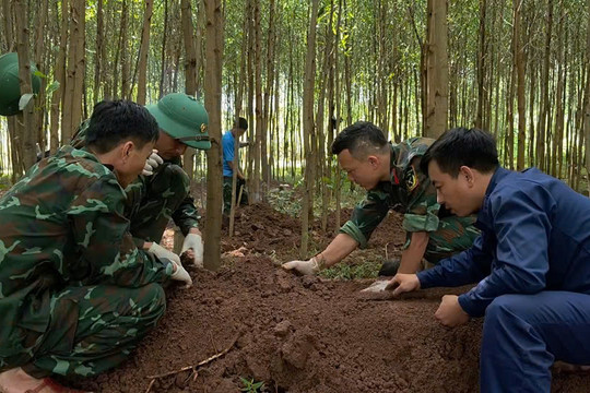 Quy tập 20 hài cốt liệt sĩ tại khu vực rừng tràm Quảng Trị