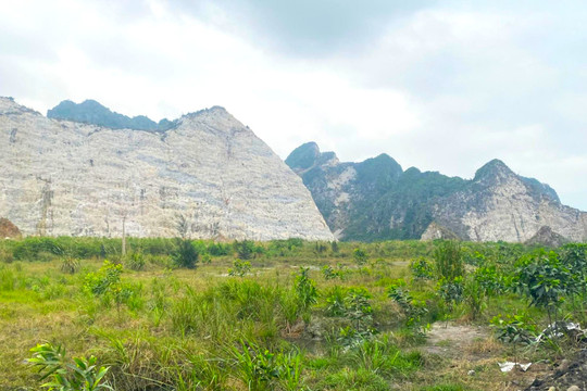 Hải Phòng: Công ty cổ phần công nghệ ECOGREEN thuê hơn 121.000m2 đất để xây dựng Nhà máy xử lý chất thải