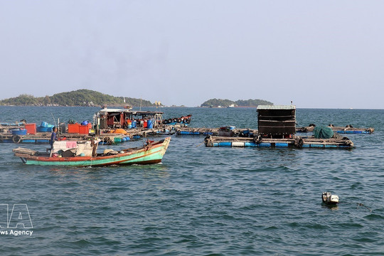 An Giang steps up crackdown on IUU fishing