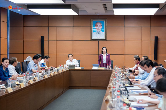 Sửa đổi Luật Sở hữu trí tuệ: Đã có một số cải cách thực chất nhưng phạm vi còn hẹp