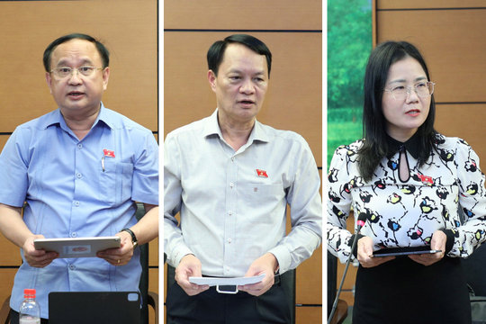 Đơn giản hóa thủ tục sở hữu trí tuệ phải đi đôi với bảo đảm quyền lợi