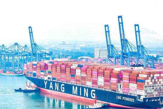 Yang Ming’s container ship makes first call at Tan Cang - Cai Mep terminal