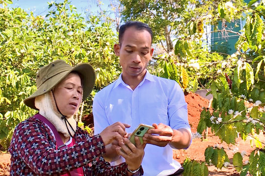 Bước phát triển tư duy của Đảng về đảng viên tham gia hoạt động kinh tế