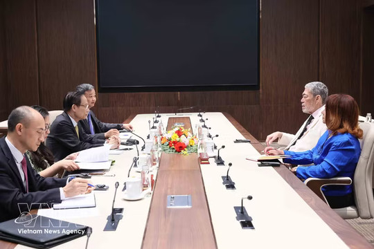 Vietnam, Dominican Republic seek to advance cooperation agreement between CPV, MIU