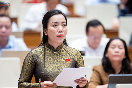 Tái định cư phải gắn với phục hồi sinh kế, ổn định đời sống người dân