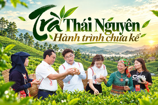 Trà Thái Nguyên - Hành trình chưa kể