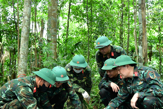 Extra efforts needed to review records on mass graves of fallen soldiers