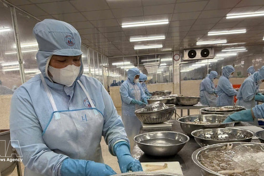 Vietnam’s seafood exporters chase 12 bln USD record as year-end demand builds