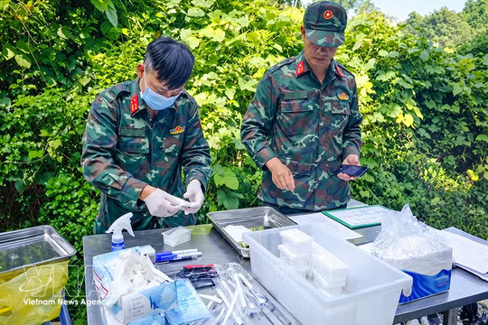 Dien Bien province collects 81 DNA samples to identify war martyrs