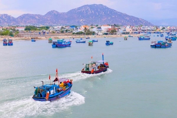 Nâng cao ý thức chấp hành pháp luật, hướng tới khai thác thủy sản bền vững