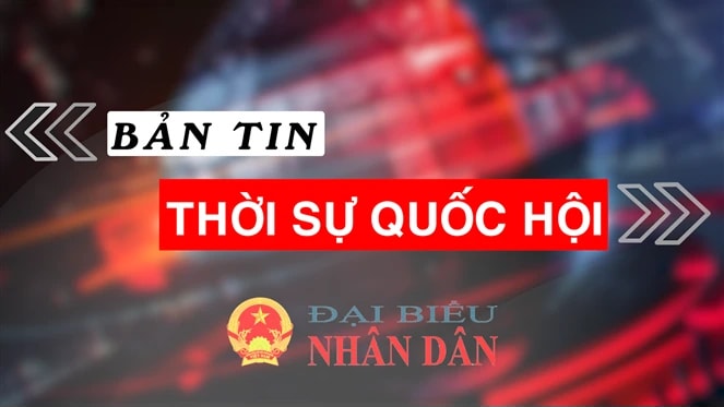 Bản tin Thời sự Quốc hội ngày 26.8.2024