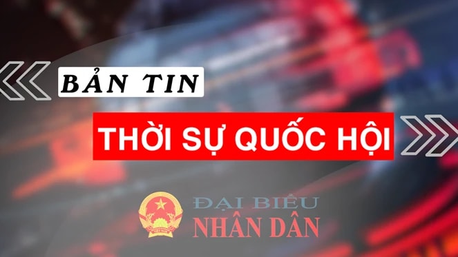 Bản tin Thời sự Quốc hội ngày 29.8.2024