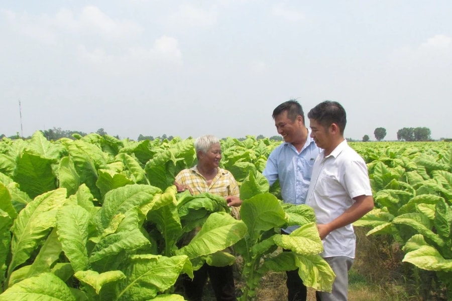 Cần lộ trình phù hợp, bảo đảm hài hòa lợi ích các bên