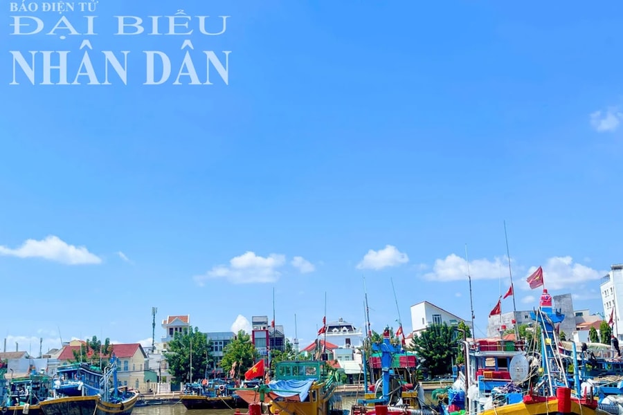 Bình Thuận: Tập trung kiểm tra, xử lý chống khai thác IUU dịp Tết Nguyên Đán 2025