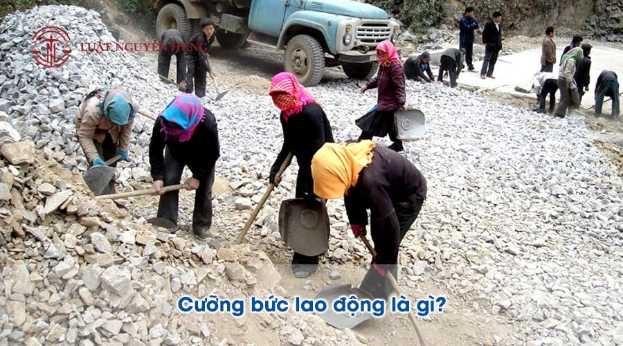 Những yếu tố nào cấu thành tội cưỡng bức lao động theo pháp luật hình sự?
