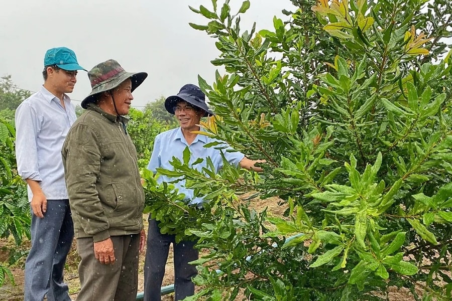 Kon Tum: Chung tay giảm nghèo bền vững