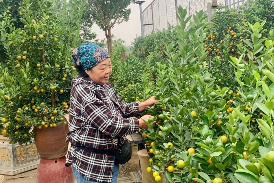 Nỗ lực khôi phục làng nghề truyền thống phục vụ Tết