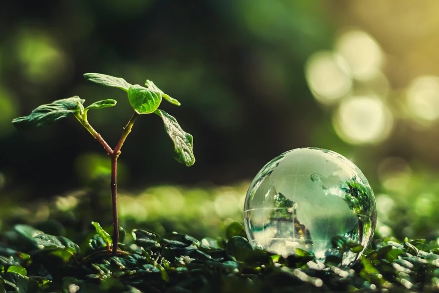 2025: Thời điểm quyết định cho hành động vì khí hậu