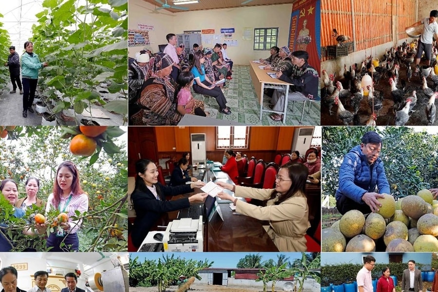 Ngân hàng Chính sách xã hội đạt nhiều thành tựu nổi bật trong năm 2024