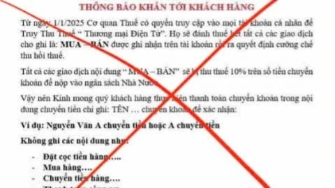 Thông tin cơ quan thuế truy cập vào tài khoản để truy thu thuế về thương mại điện tử là không chính xác