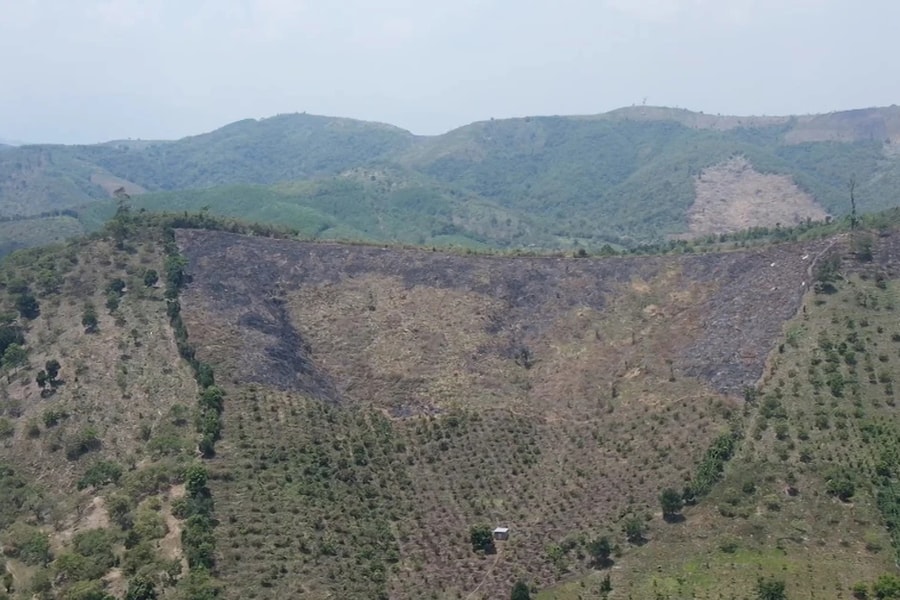 129 hộ dân ở Đắk Lắk tự nguyện trả lại đất rừng lấn chiếm