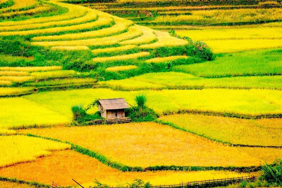 Sa Pa tổ chức chuỗi sự kiện hấp dẫn trong dịp Tết Nguyên đán Ất Tỵ 2025