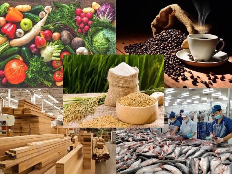 Xuất khẩu nông sản cần lưu ý những quy định mới tại các thị trường