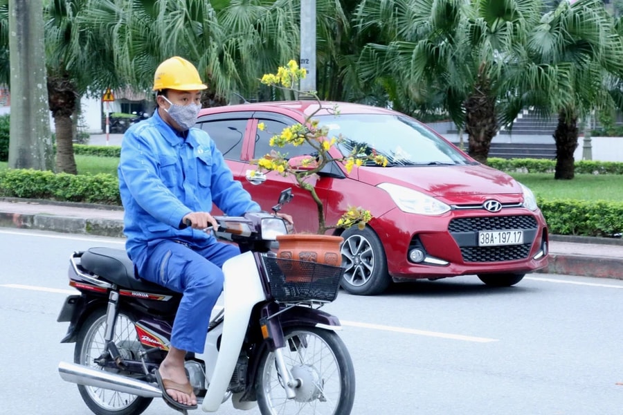 Người dân Hà Tĩnh hối hả “mang Xuân” về nhà