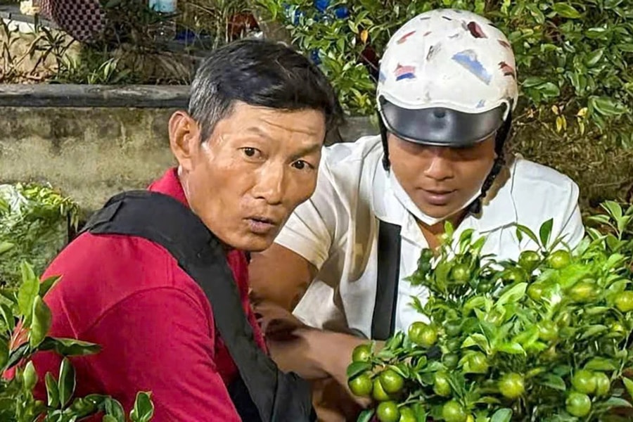 Bình Dương: "Giải cứu" 500 cây quất, câu chuyện nghĩa tình ngày 29 Tết