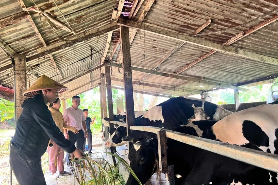 Hà Nội dự kiến tuyển dụng khoảng 20.000 lao động