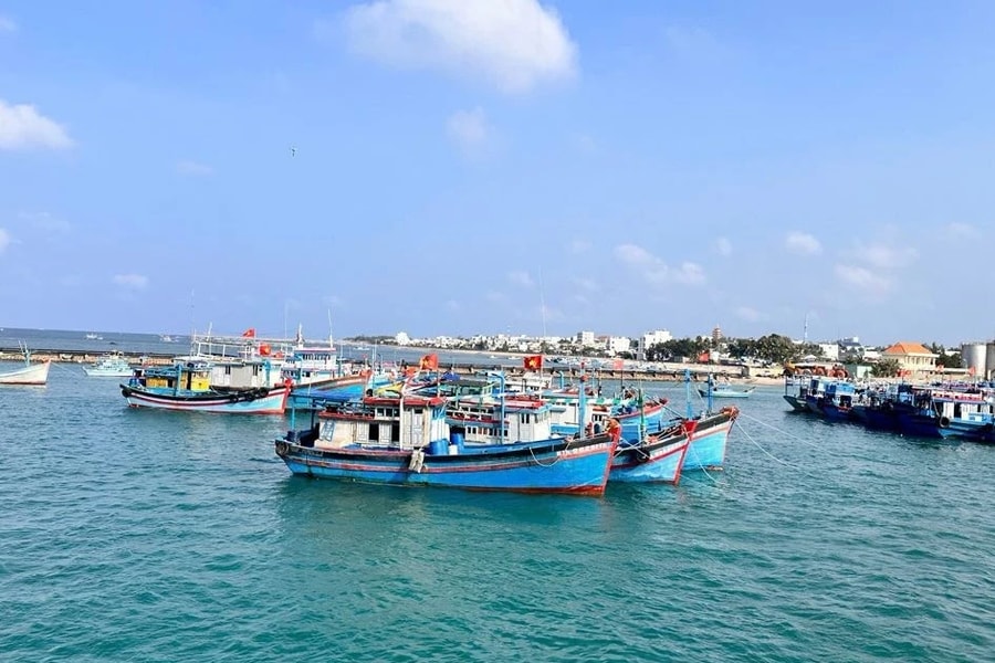 Ngư dân Bình Thuận vươn khơi bám biển ngày đầu năm mới