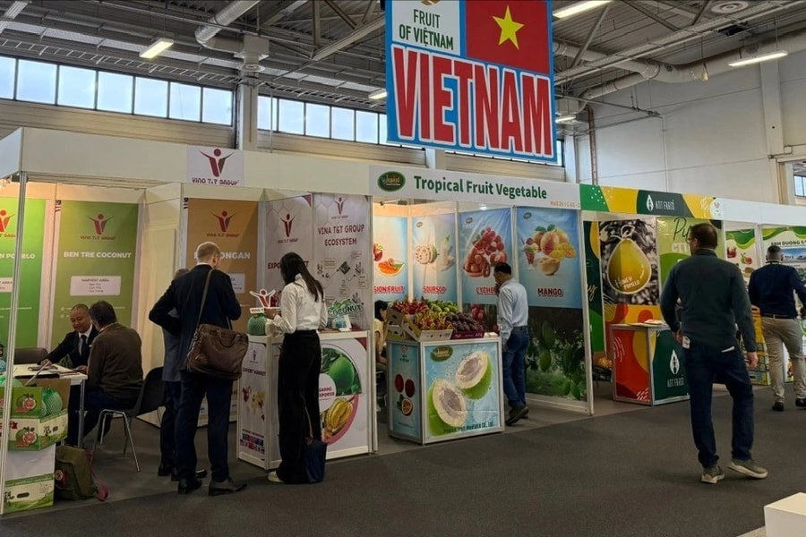 Rau quả Việt gia tăng cơ hội tiếp cận thị trường châu Âu